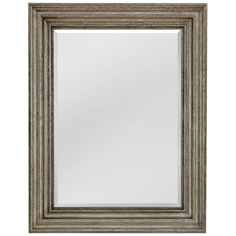 Image 1 Fontana 46 inchH Transitional Styled Wall Mirror