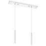 Forest by Z-Lite Chrome 2 Light Island Pendant