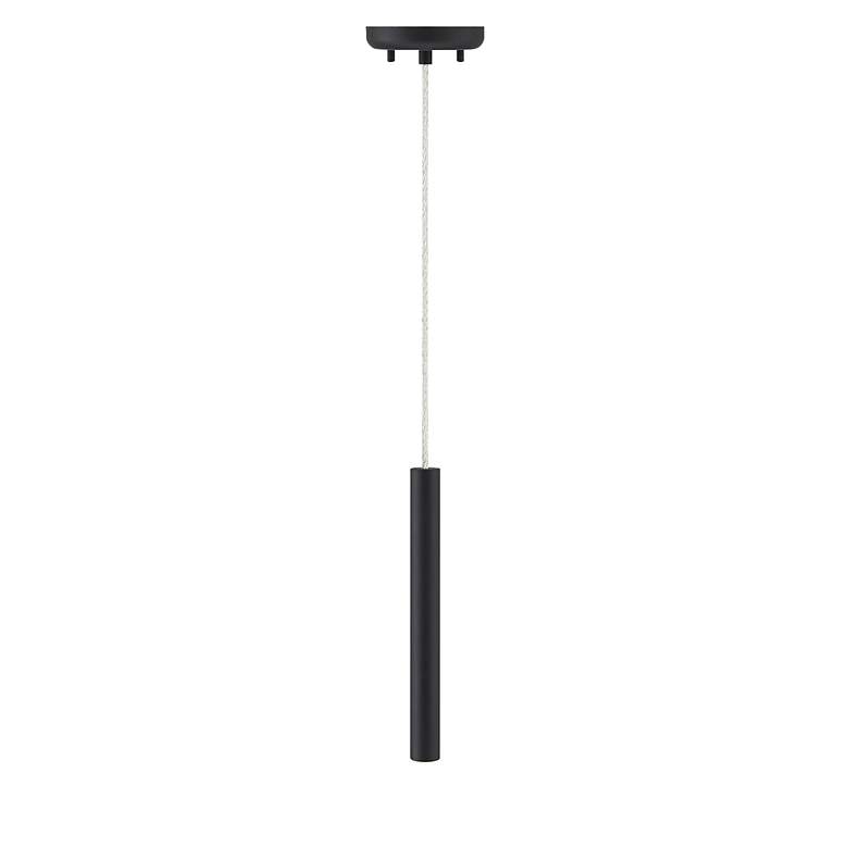 Image 6 Forest by Z-Lite Matte Black 1 Light Mini Pendant more views