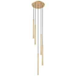 Forest by Z-Lite Modern Gold 12 inch 5 Light Chandelier