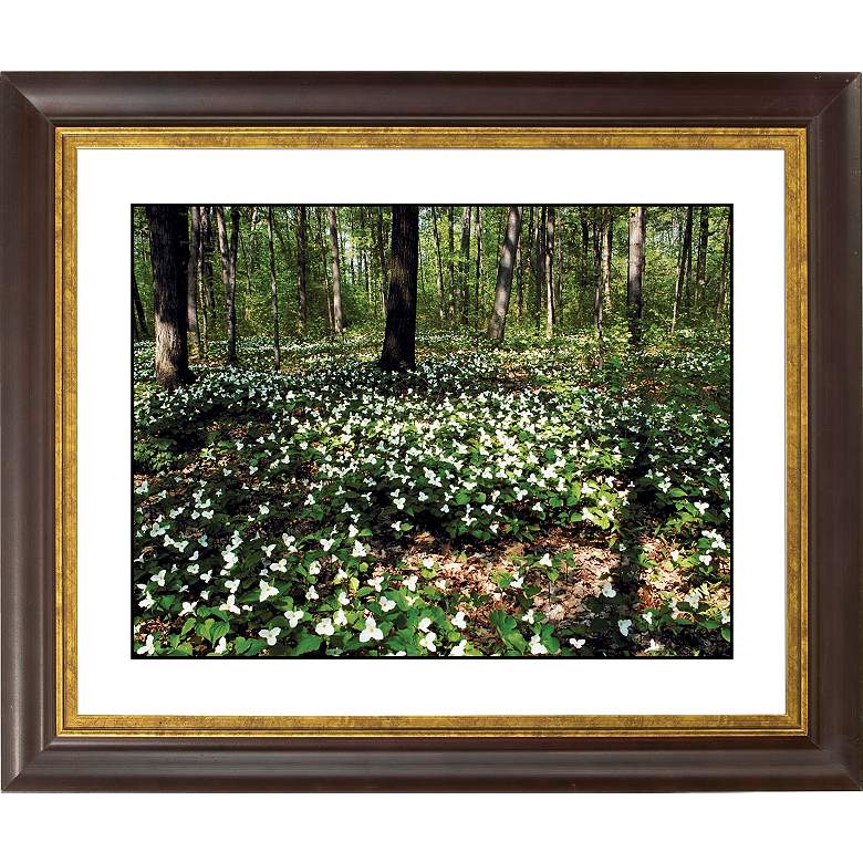Image 1 Forest Flowers Gold Bronze Frame Giclee 20 inch Wide Wall Art