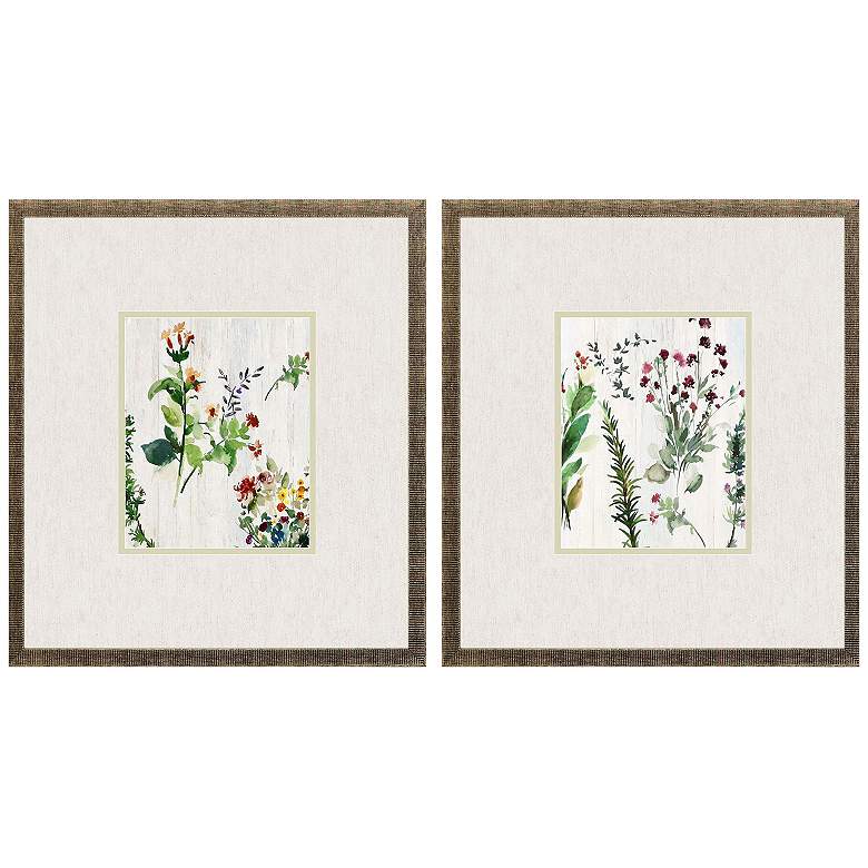 Image 1 Forest Treasure 17"W x 19"H Framed Art Set of 2