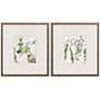 Forest Treasure 17"W x 19"H Framed Art Set of 2