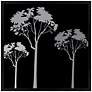 Forest Trio 21" Square Black Giclee Wall Art