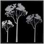 Forest Trio 31" Square Black Giclee Wall Art