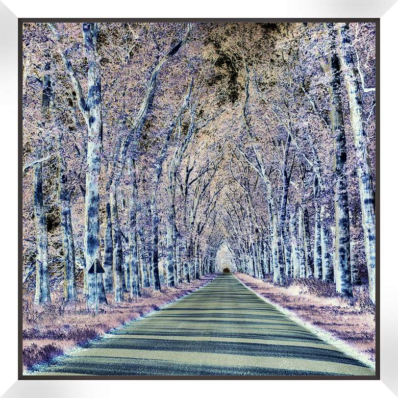 Image 1 Forest Walkway 22 inch Square Giclee Wall Art