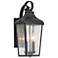 Forestdale 18.50" 2-Light Outdoor Wall Light in Textured Black