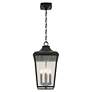 5_Forestdale 19 3/4" High Black 4-Light Outdoor Hanging Light more views