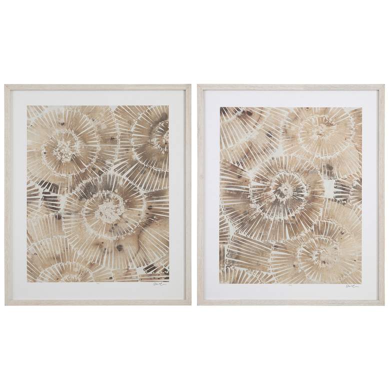 Image 1 Fossil Nautilus 38" x 32" Framed Print Set of 2