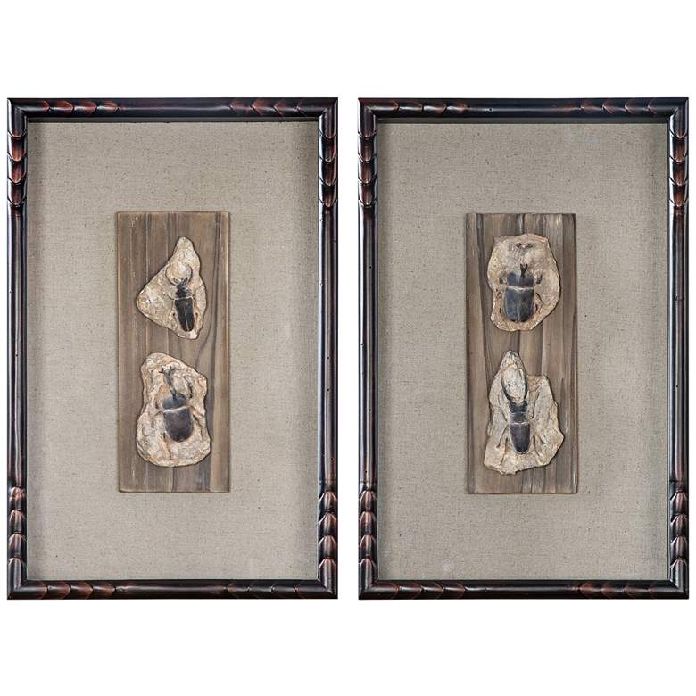 Image 1 Fossilized Insects 2-Piece 17 3/4 inch High Frame Wall Art Set