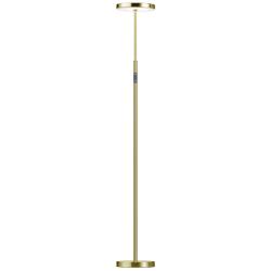 Francine 54" High Aged Brass Floor Lamp With White Acrylic Diffuser