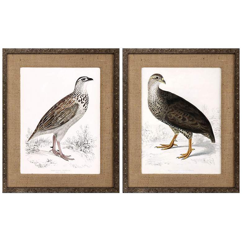 Image 1 Francolinus Birds 26"W x 32"H Framed Art Set of 2