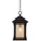 Franklin Iron Works Hickory Point 19 1/4" Bronze Outdoor Hanging Light