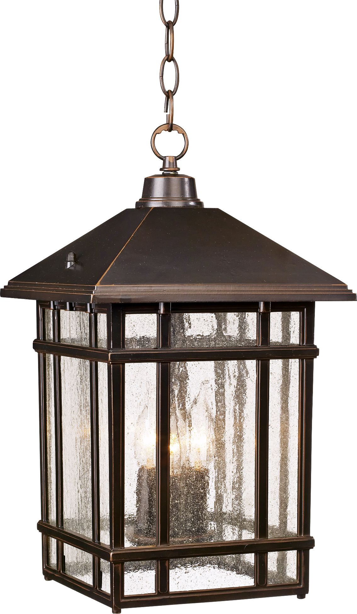 Image 2 Franklin Iron Works Sierra 16 1/2" High Bronze Outdoor Hanging Light