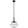 Franklin Restoration Oxford 12" Black Brass Mini Pendant w/ Seedy Shad