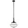 Franklin Restoration Oxford 12" Bronze Mini Pendant w/ Seedy Shade