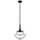 Franklin Restoration Oxford 12" Matte Black Mini Pendant w/ Seedy Shad
