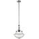 Franklin Restoration Oxford 12" Polished Nickel Mini Pendant w/ Seedy