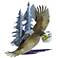 Freedom Bald Eagle 35" Wide Metal Wall Sculpture