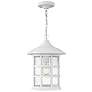 1_Freeport Coastal Elements 14"H White Outdoor Hanging Light