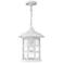 Freeport Coastal Elements 14"H White Outdoor Hanging Light