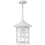 2_Freeport Coastal Elements 14"H White Outdoor Hanging Light more views