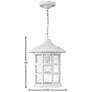 6_Freeport Coastal Elements 14"H White Outdoor Hanging Light more views
