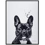 2_French Bulldog 24"x18" Printed Glass Framed Wall Art