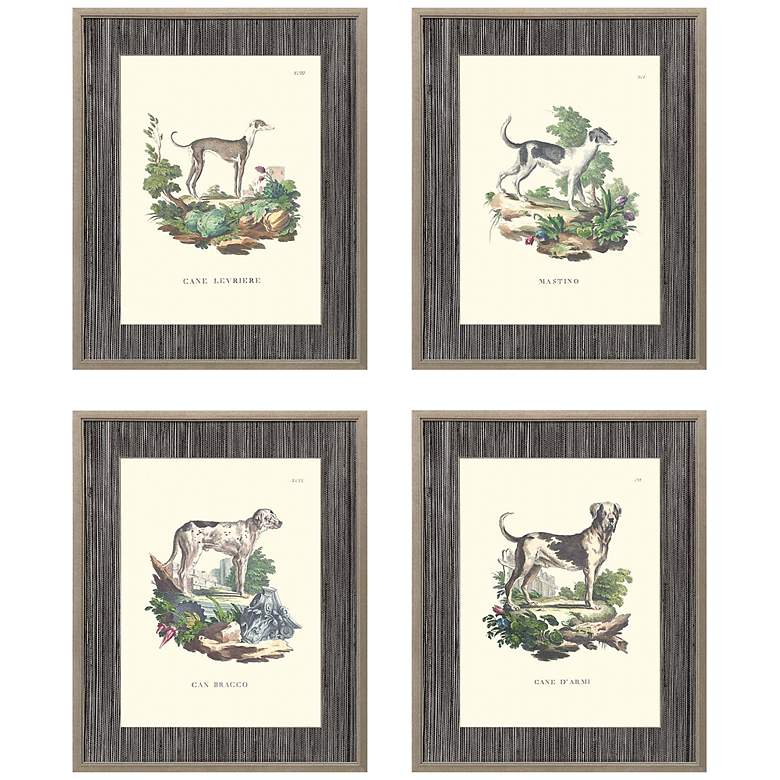 Image 3 French Dogs 21" High 4-Piece Giclee Framed Wall Art Set