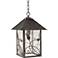 French Garden 15" High Bronze Outdoor Hanging Light