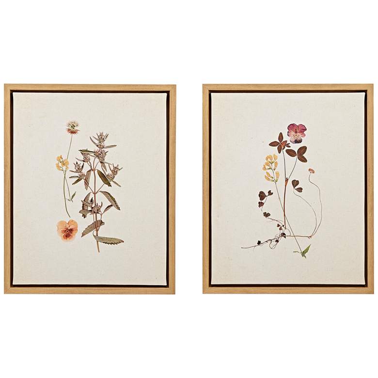 Image 2 French Herbarium 21 3/4 inchH 2-Piece Framed Canvas Wall Art Set