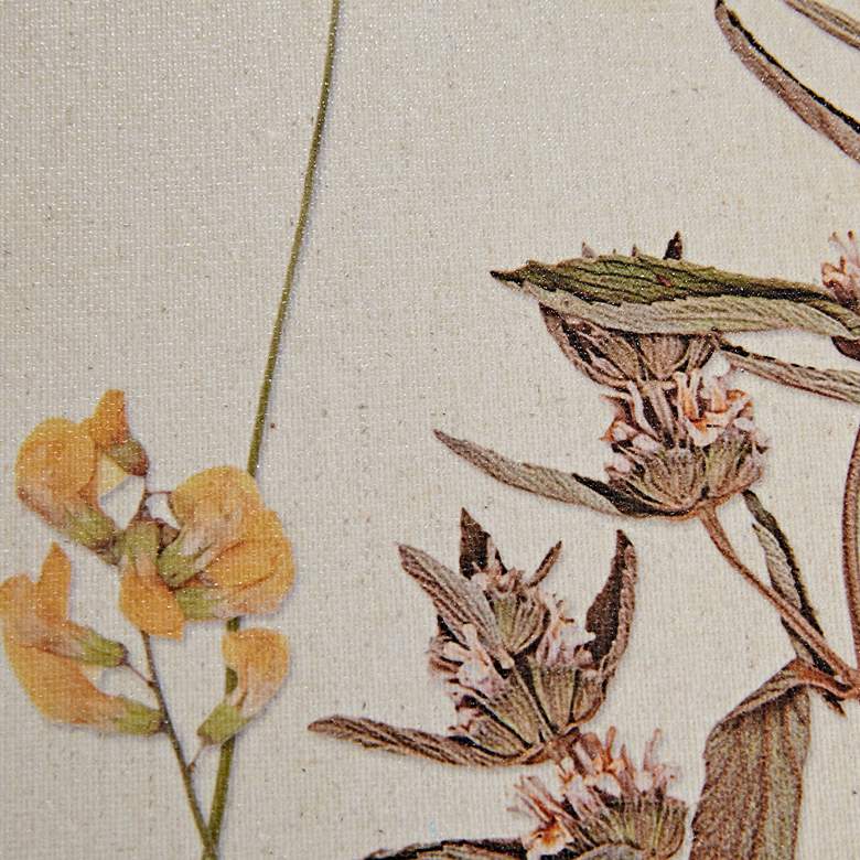 Image 4 French Herbarium 21 3/4"H 2-Piece Framed Canvas Wall Art Set more views
