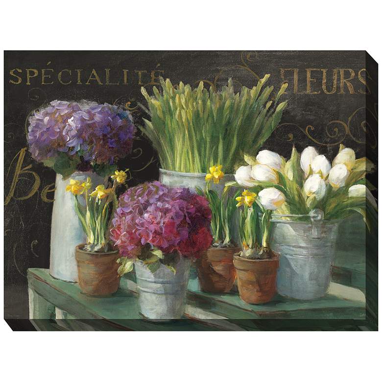 Image 2 French Market 40" Wide Rectangular Outdoor Canvas Wall Art