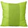 Fresca Green 20" Square Decorative Pillow