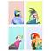 Friendly Parrots 17"W x 25"H Framed Art Set of 4