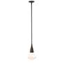 1_Fritz 8.3" Wide Large Oil Rubbed Bronze Pendant With Clear Glass Shade
