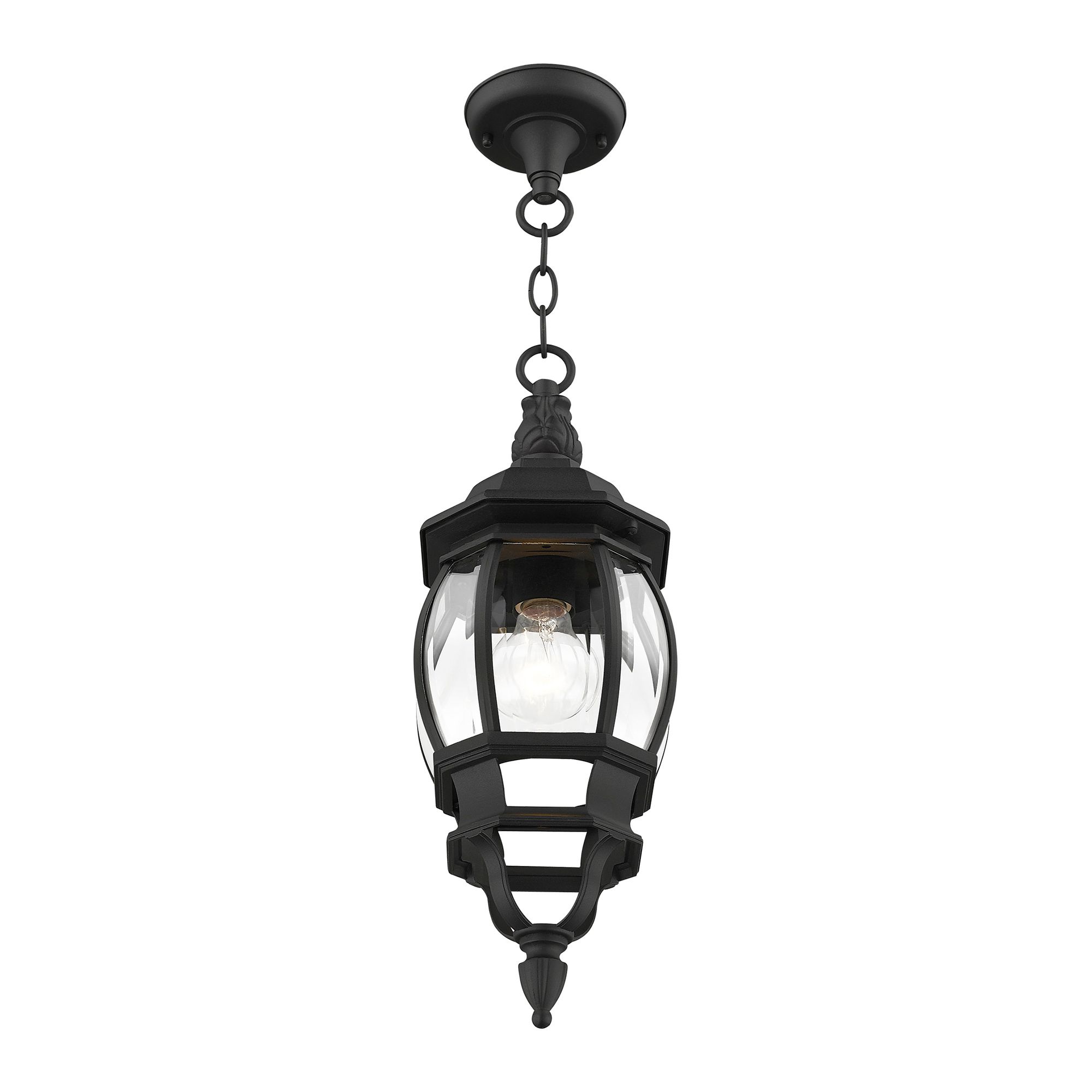 Frontenac 1 Light Textured Black Outdoor Pendant Lantern