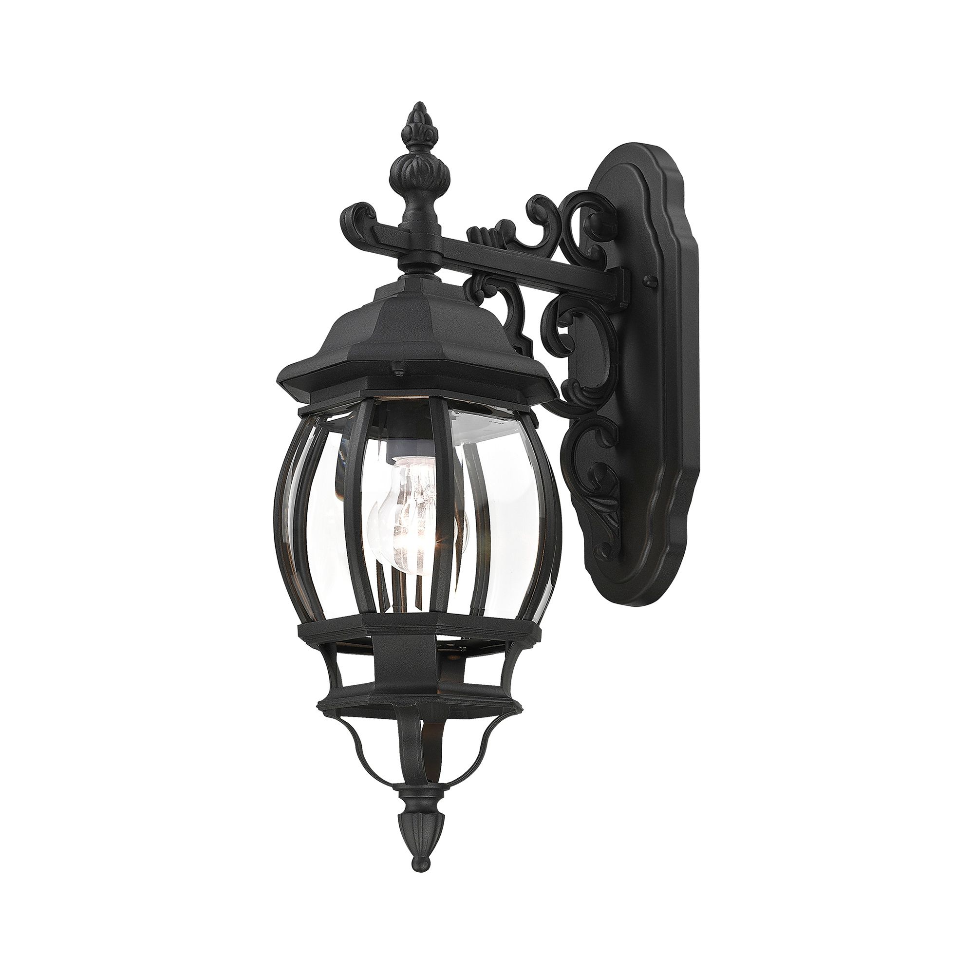 Frontenac 1 Light Textured Black Outdoor Wall Lantern