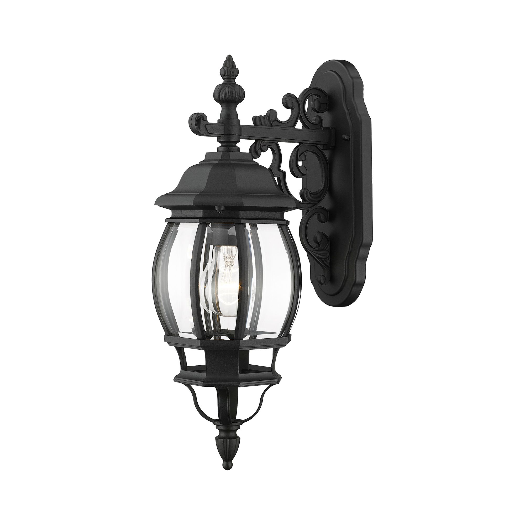 Frontenac 1 Light Textured Black Outdoor Wall Lantern