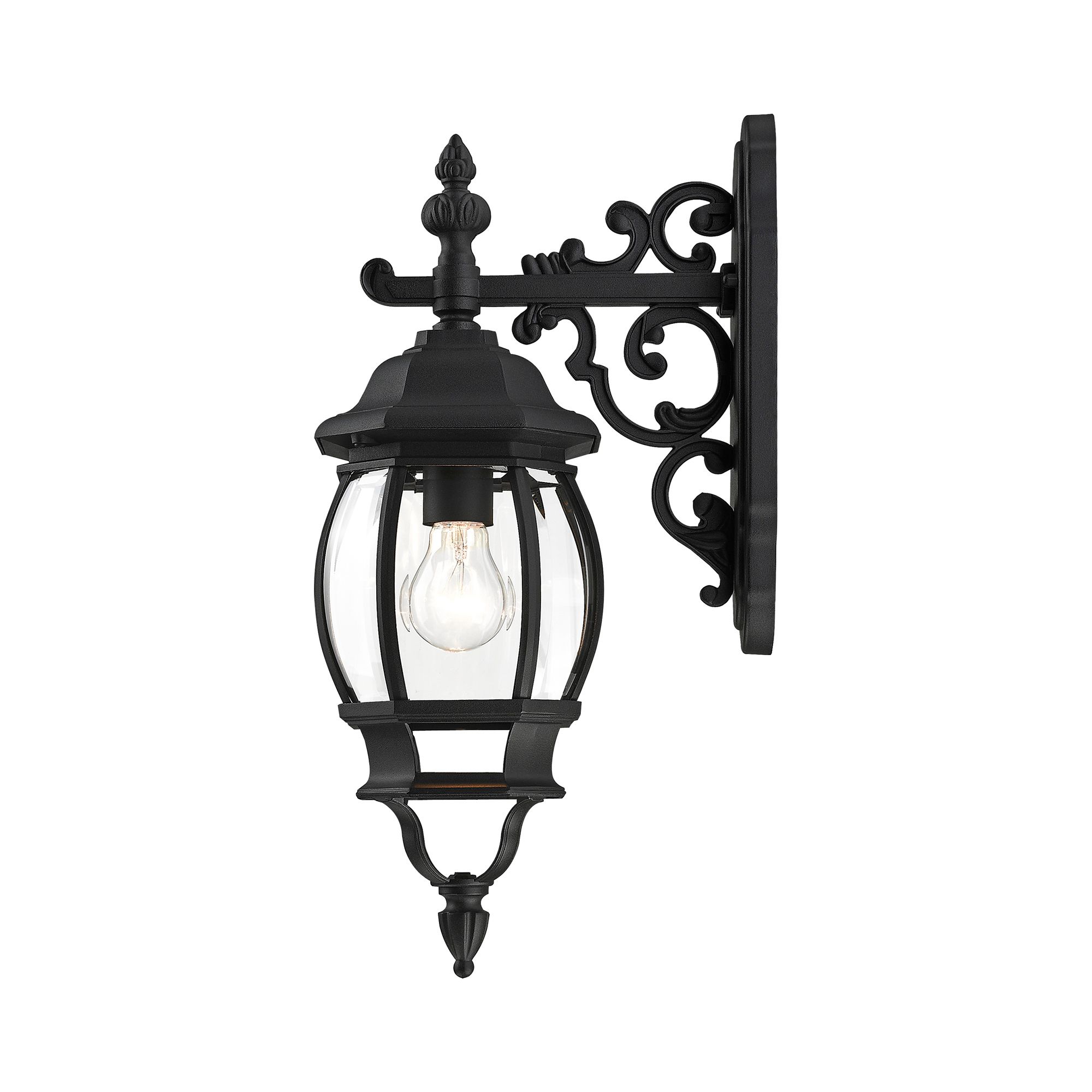 Frontenac 1 Light Textured Black Outdoor Wall Lantern
