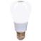 Frost 8 Watt 810 Lumens A60 LED Omni-Directional Apple Bulb