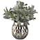 Frosted Lamb's Ear 18" Wide Faux Plant in Glass Vase