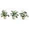 Frosted Lamb's Ear 9" High Faux Plant in Pot Set of 3