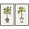 Fruit Topiary 40" High Framed Giclee Wall Art Set of 2