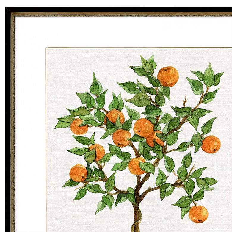 Image 3 Fruit Topiary 40 inch High Framed Giclee Wall Art Set of 2 more views