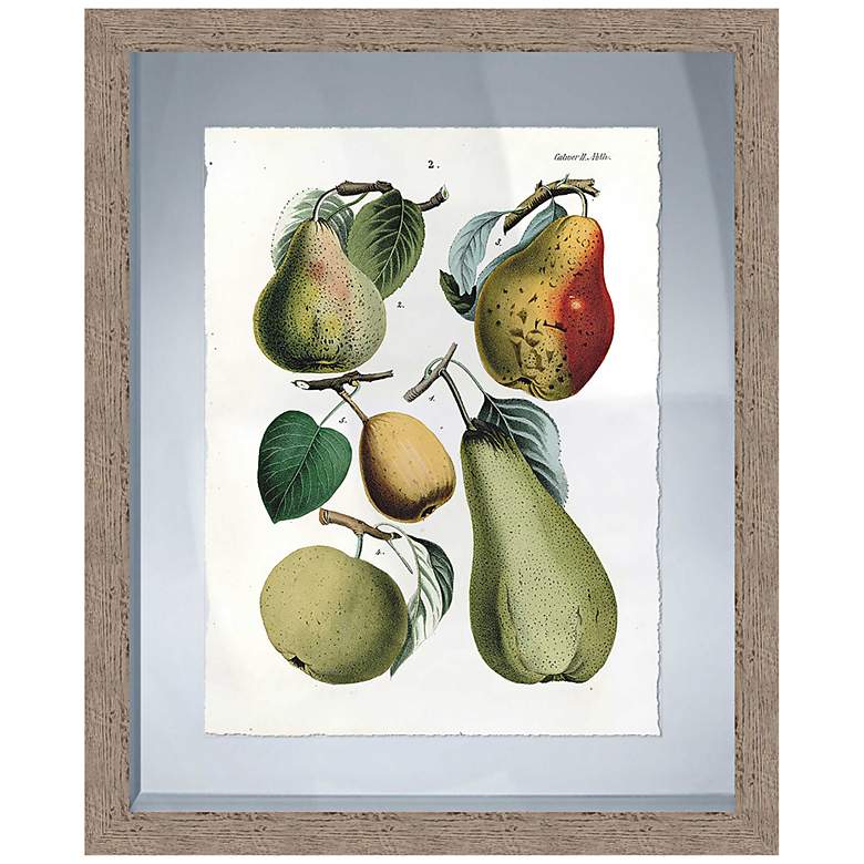 Image 1 Fruits I 22 1/4 inch High Framed Giclee Wall Art