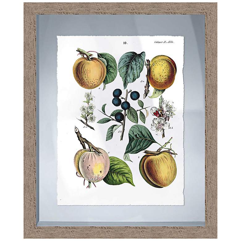 Image 1 Fruits II 22 1/4 inch High Framed Giclee Wall Art
