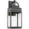 Fulton 1-Light Black Metal and Clear Glass Outdoor Wall Light