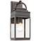Fulton 1-Light Oil Rubbed Bronze Metal and Clear Glass Outdoor Wall Light