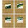 Galaxy Series II 20"W x 24"H Wall Sculpture Set of 4